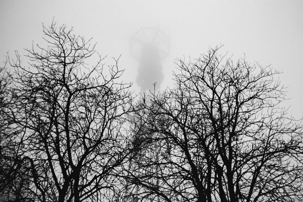 Фотография автора Врубель Андрей