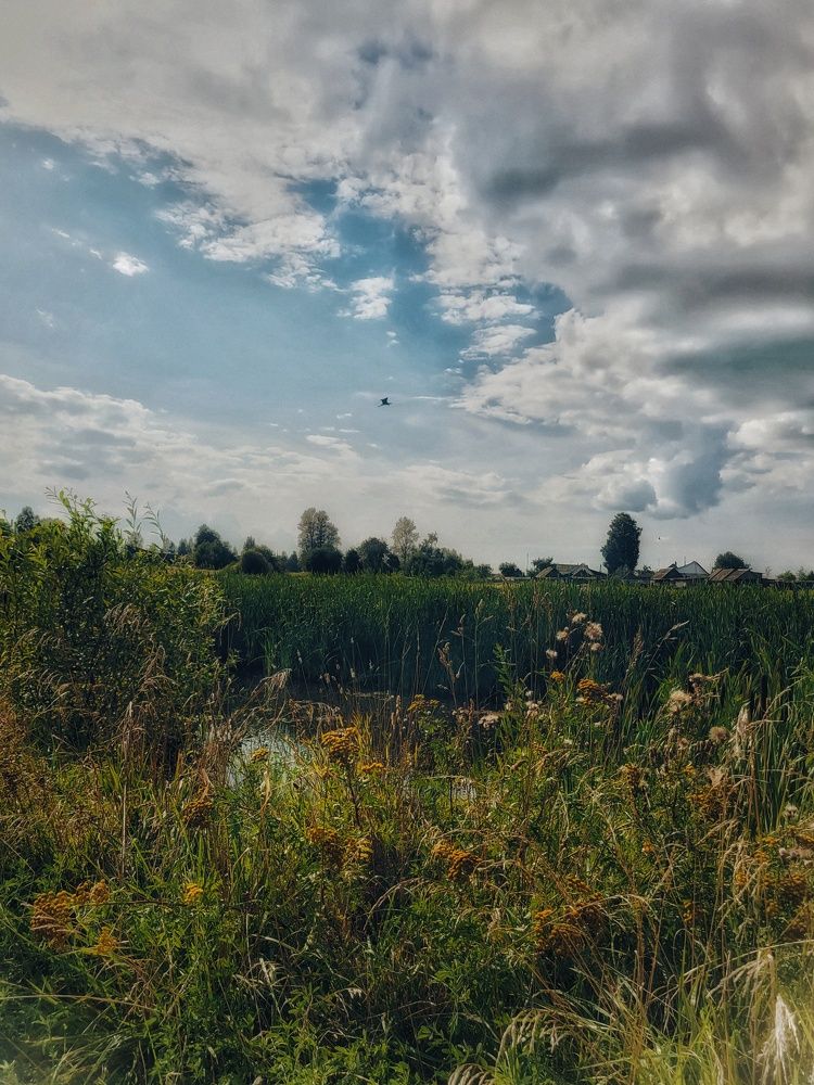 Photograph by Алина