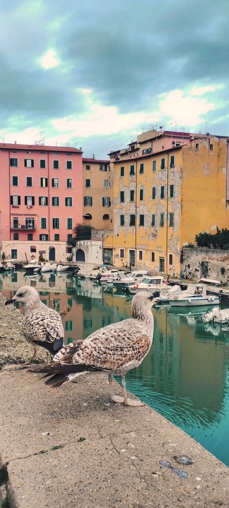 Photograph by Елена Егорова