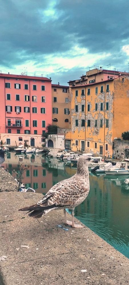 Photograph by Елена Егорова