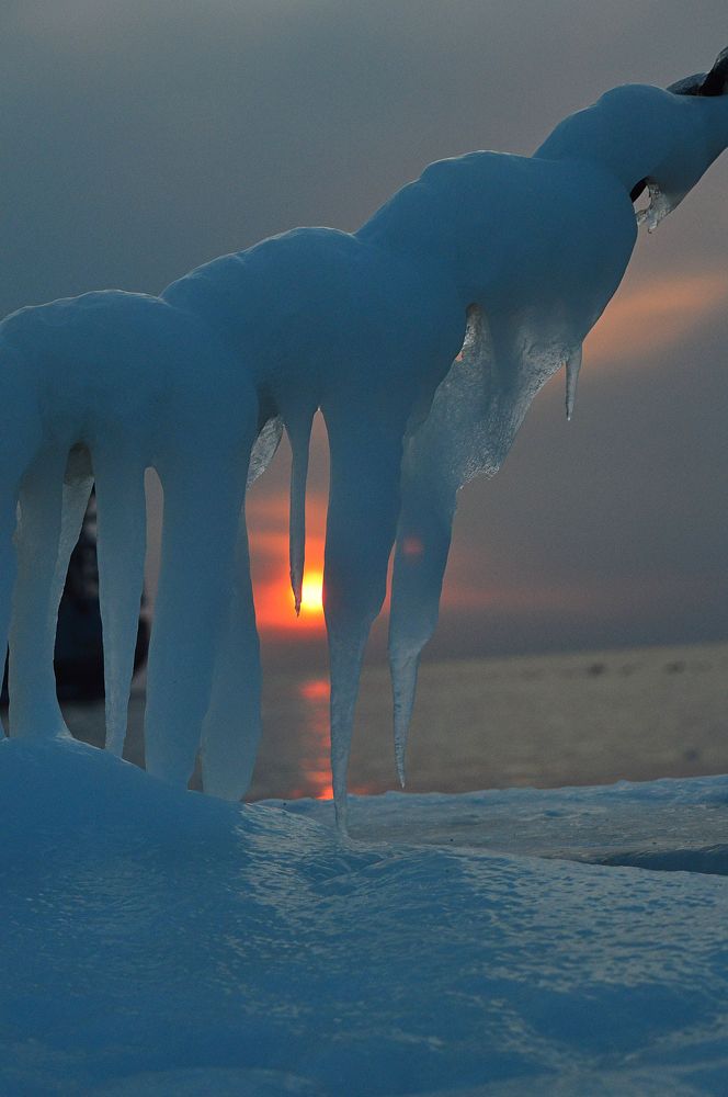 Photograph by Natalia Kopeva