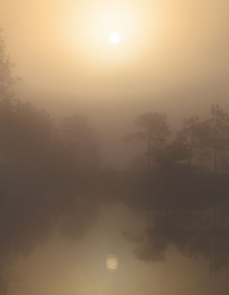 Фотография автора Врубель Андрей