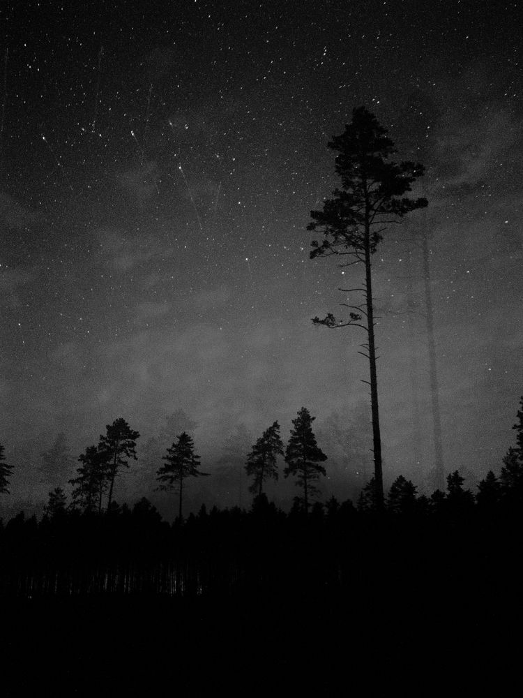 Фотография автора Врубель Андрей