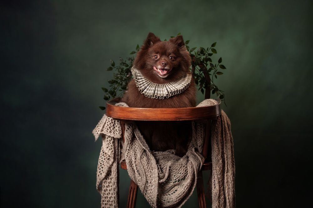 Photograph by Goené Gertrude