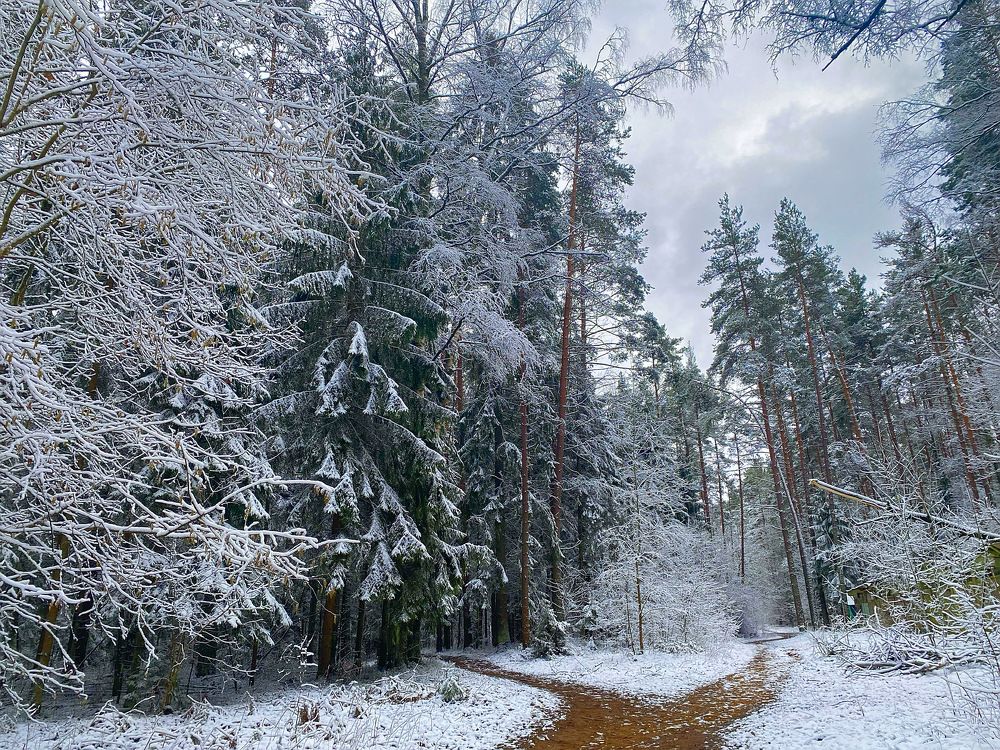 Photograph by Ксения Орлова