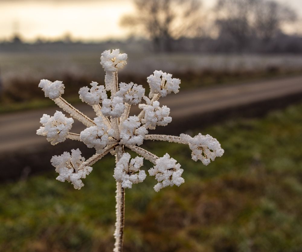 Photograph by Vitalii Kaznin