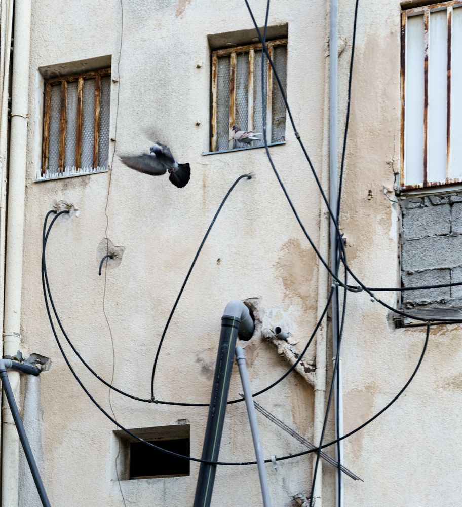 Photograph by Александр Кучерявый