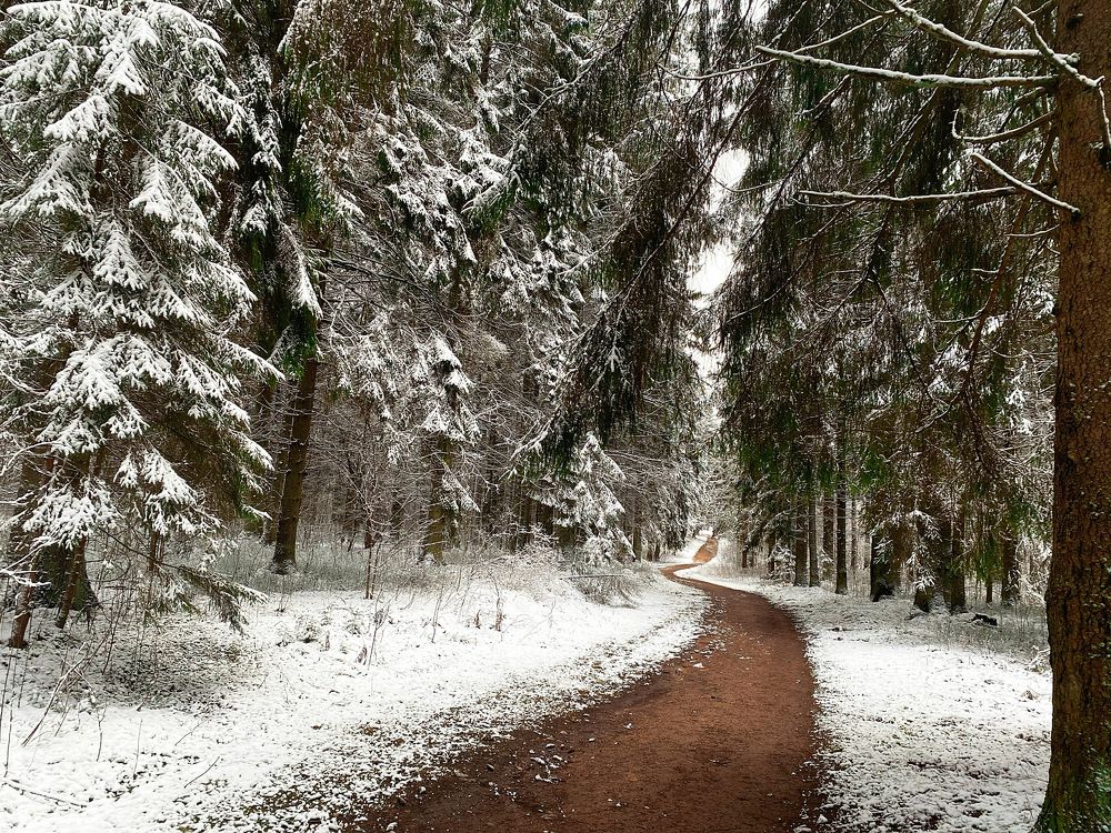 Photograph by Ксения Орлова