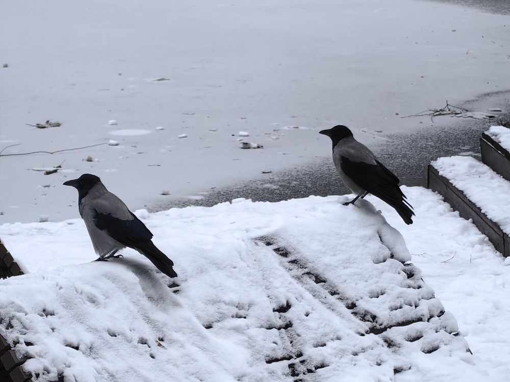 Photograph by Ольга Зимарина