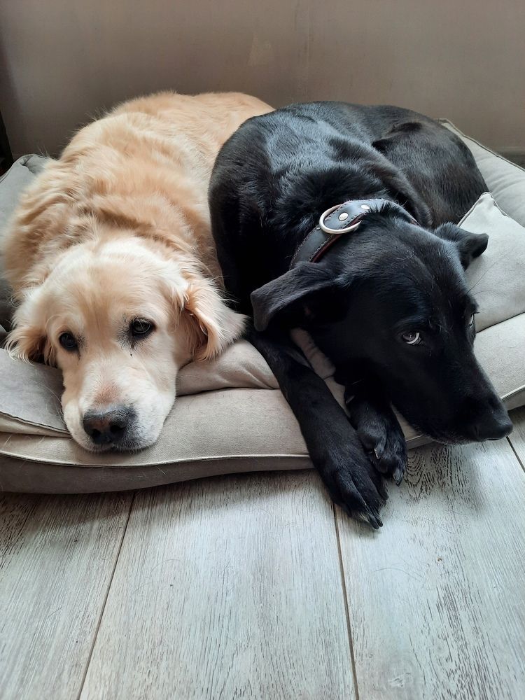 Photograph by OLGA MIKHNEVICH