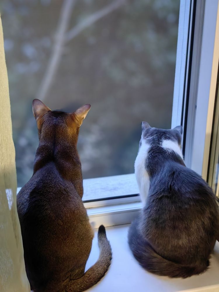 Photograph by OLGA MIKHNEVICH