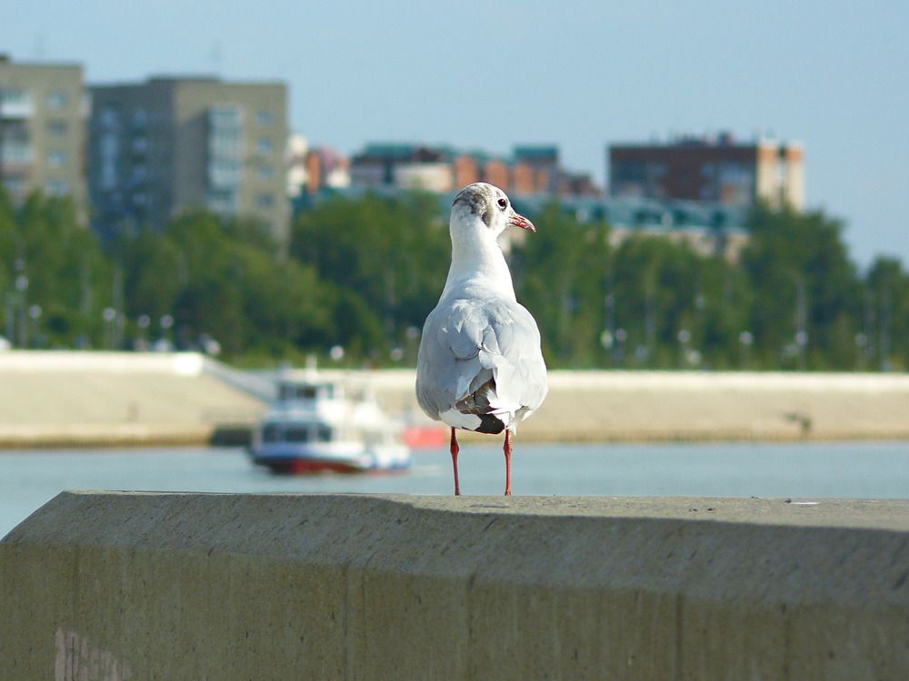Photograph by Валерий Алфимов