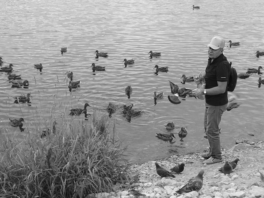 Photograph by Валерий Алфимов