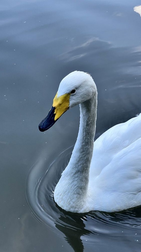 Photograph by Анна Иванова