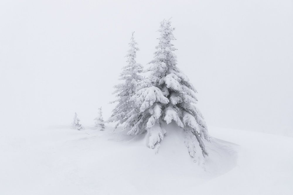 Photograph by Толстоноженко Илья