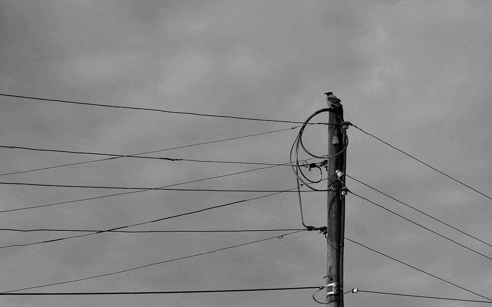 Photograph by Зыкова Мария