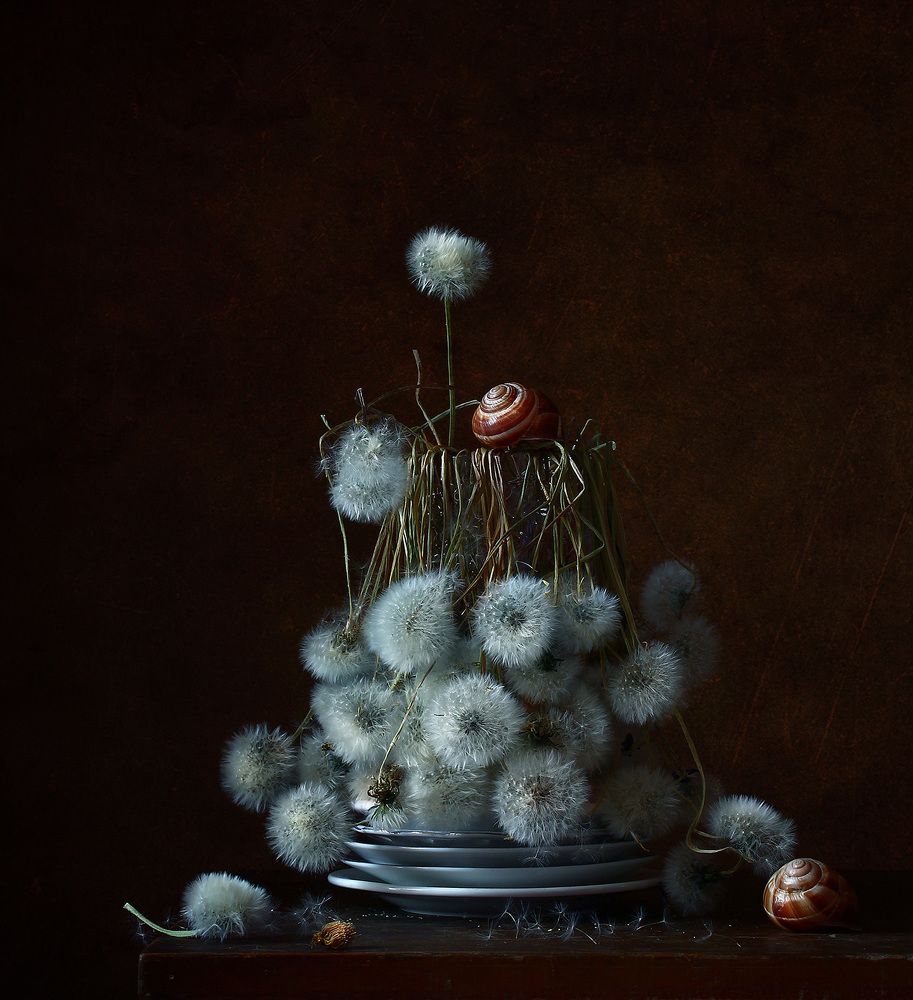 Photograph by Курочкина Диана