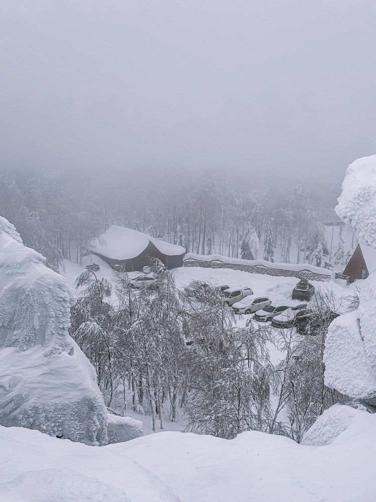 Фотография автора Юлия Осетрова
