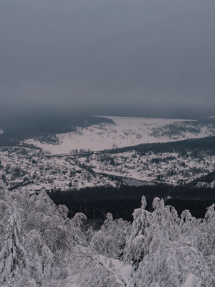 Фотография автора Юлия Осетрова