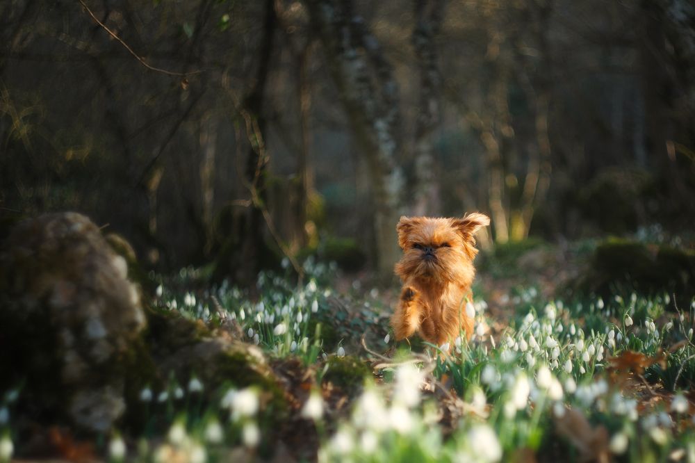 Photograph by Ирина Корх