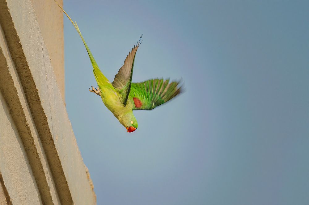 Фотография автора Bhupender Gupta