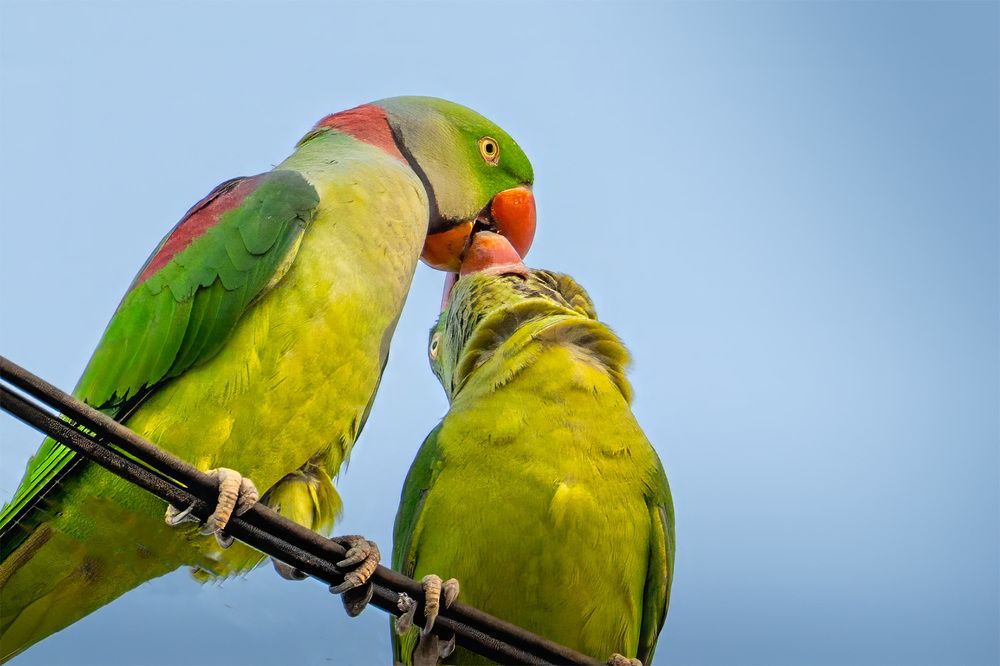 Фотография автора Bhupender Gupta