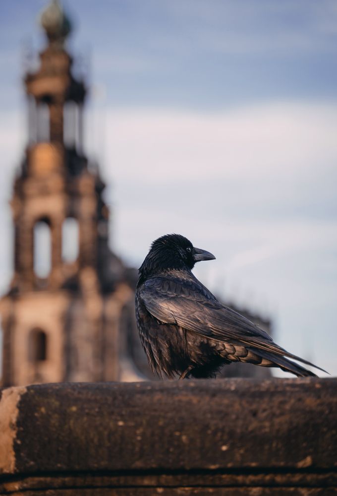 Photograph by Екатерина Карпова