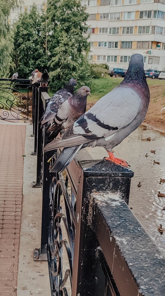 Photograph by Людмила Сергеева