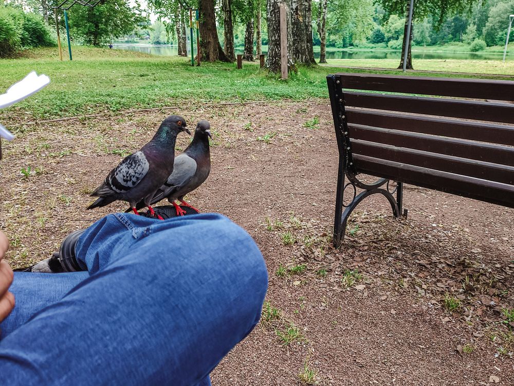 Photograph by Людмила Сергеева