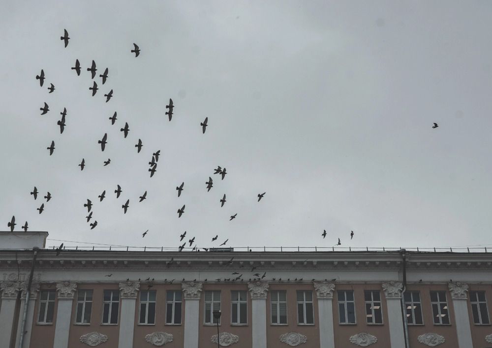 Photograph by Зыкова Мария