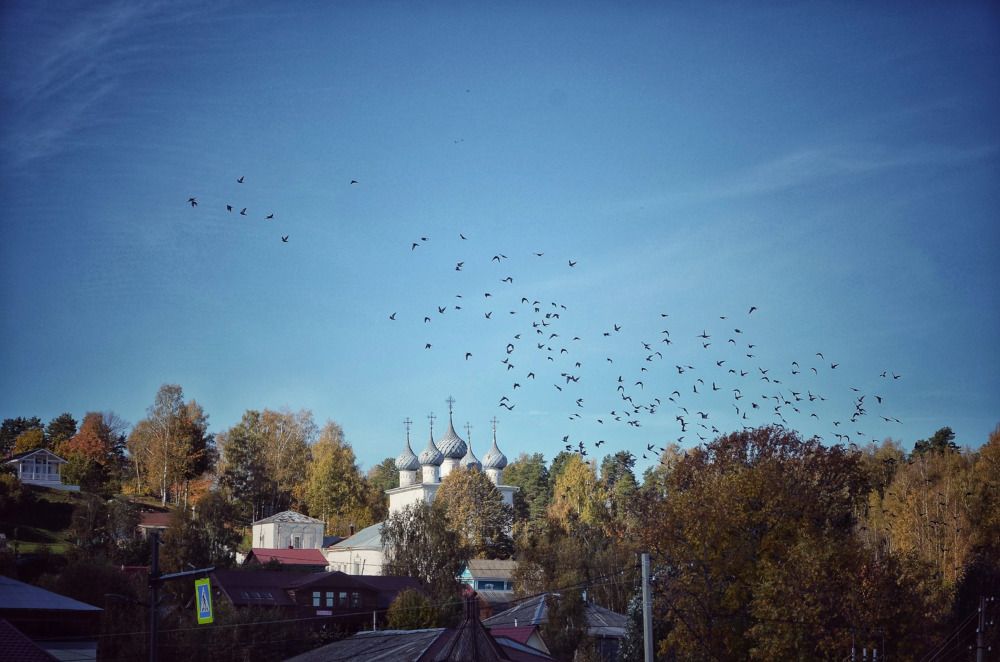 Photograph by Зыкова Мария