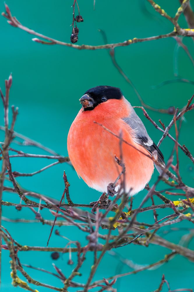 Photograph by Старых Сергей