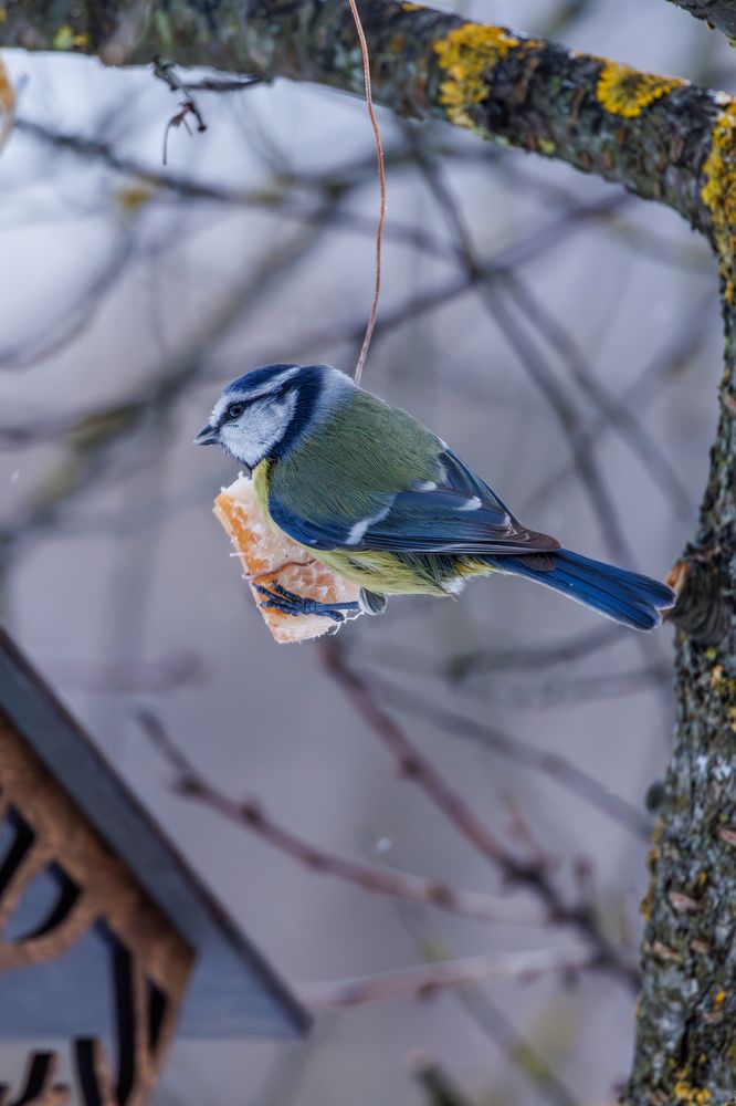 Photograph by Старых Сергей