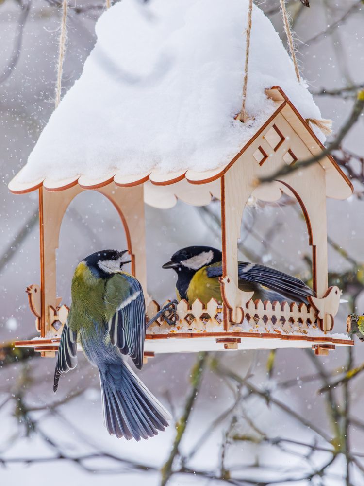 Photograph by Старых Сергей