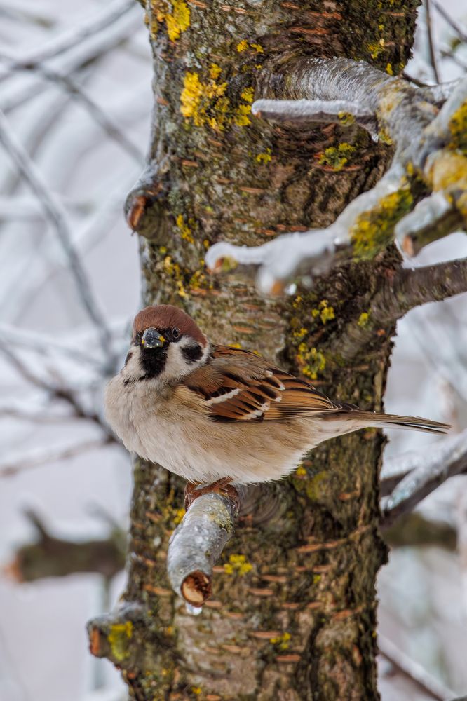 Photograph by Старых Сергей