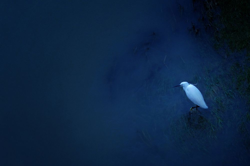 Фотография автора Сергей Иваненко