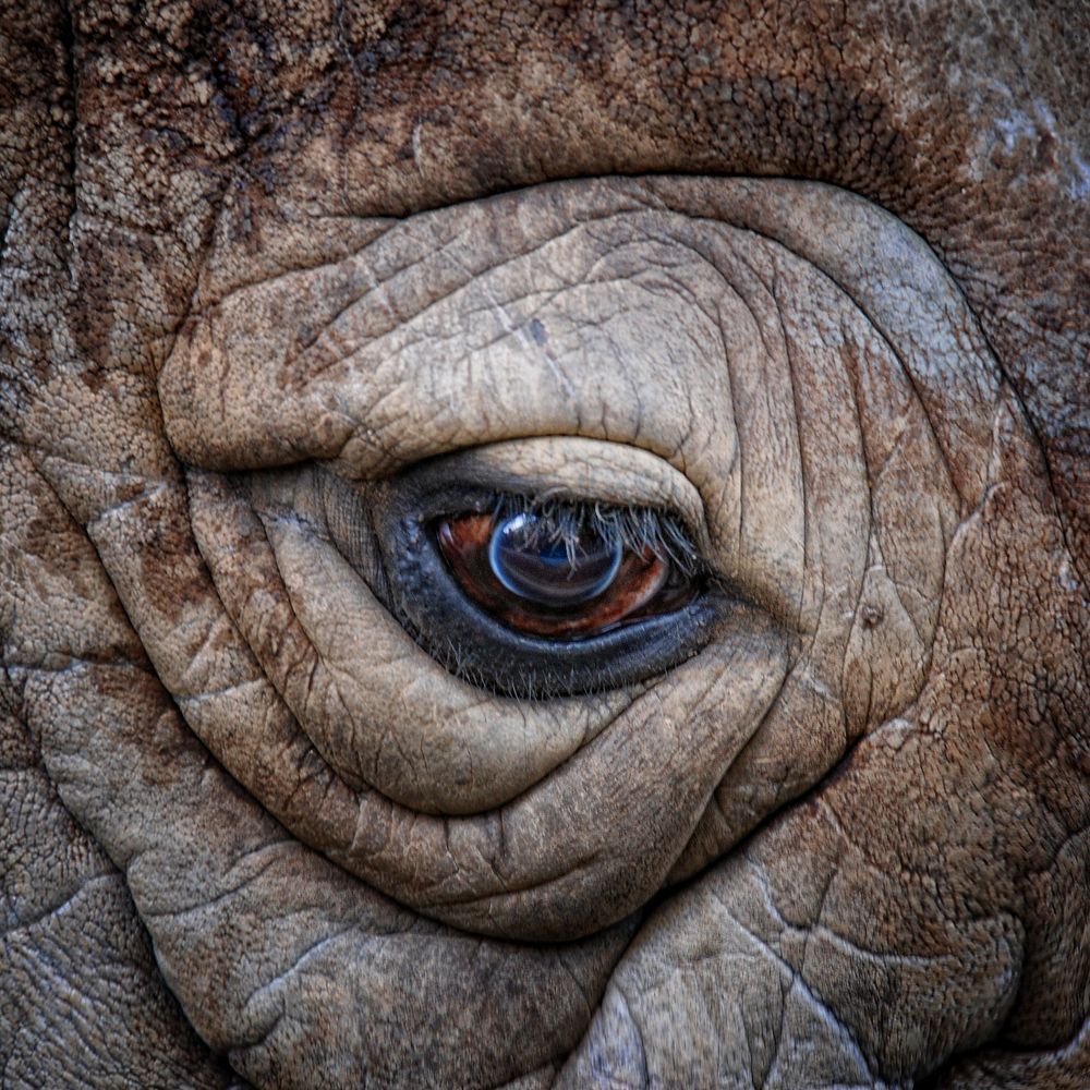 Photograph by Сергей Иваненко