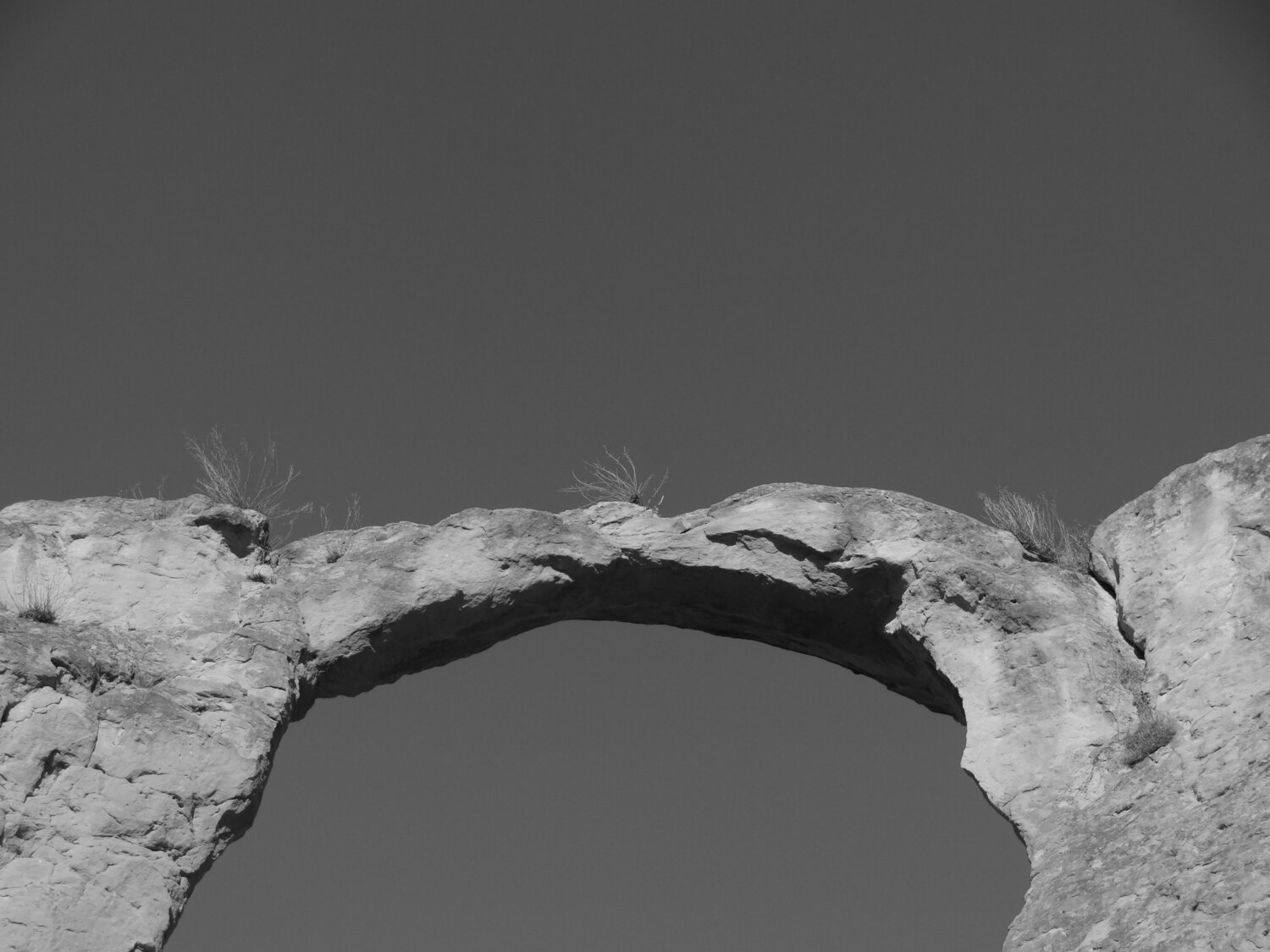 Photo #11776496