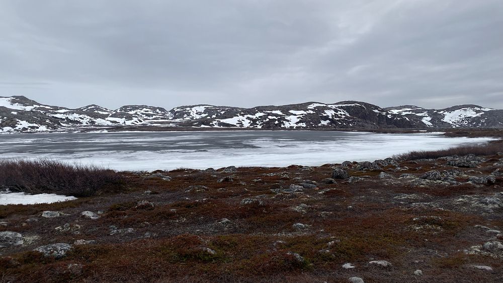 Photograph by Оливия Таль