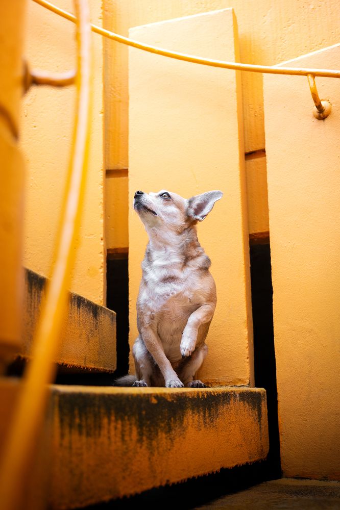 Photograph by Daniela Schnabel-Sahm