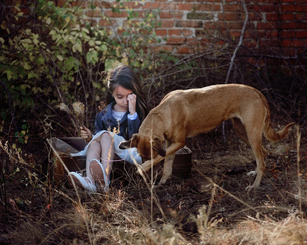 Фотография автора Сергей Иваненко
