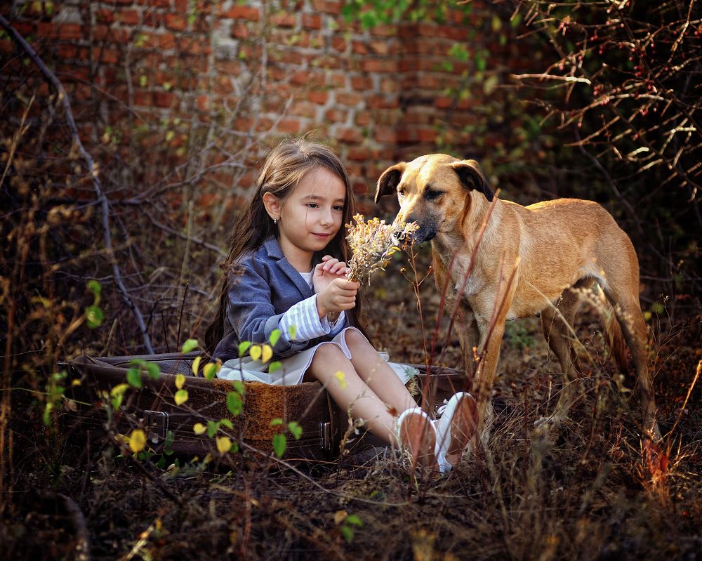 Фотография автора Сергей Иваненко