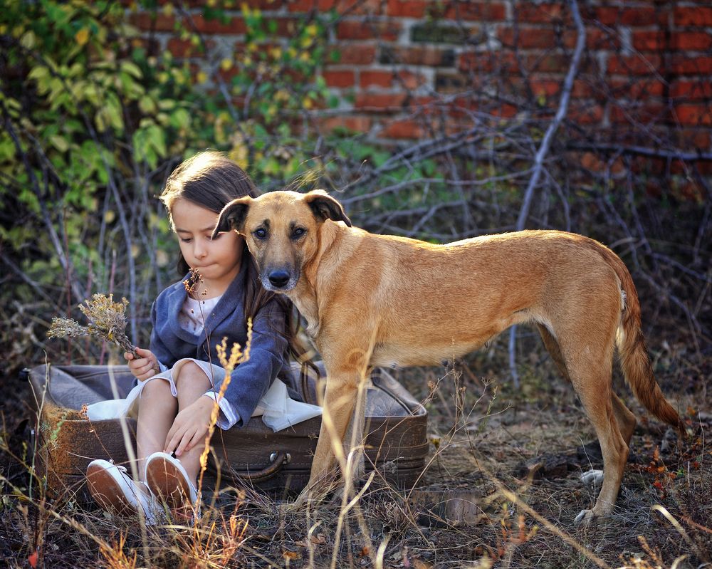 Фотография автора Сергей Иваненко