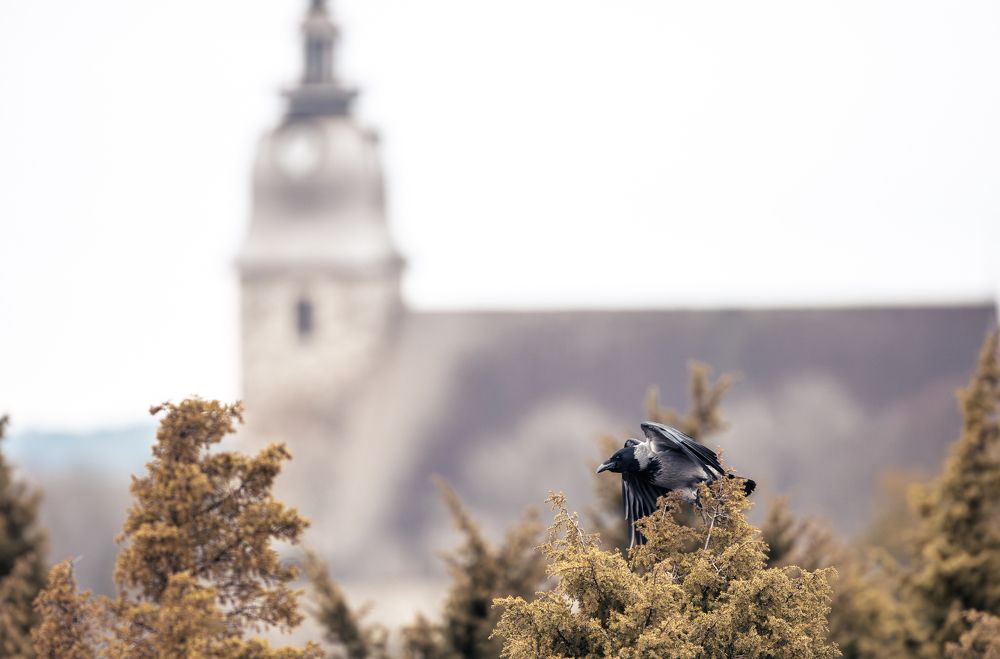 Photograph by Андрей Шабанов