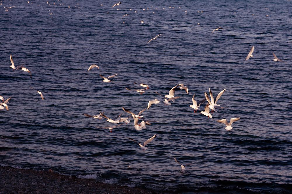 Photograph by Ольга Богданова