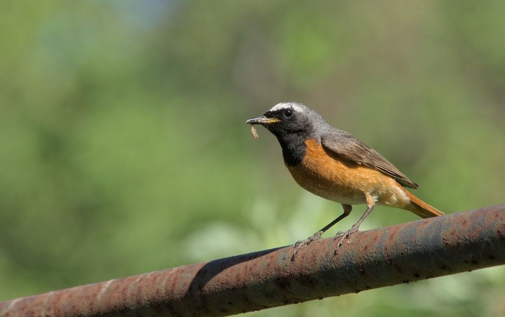 Photograph by Ирина Курицына