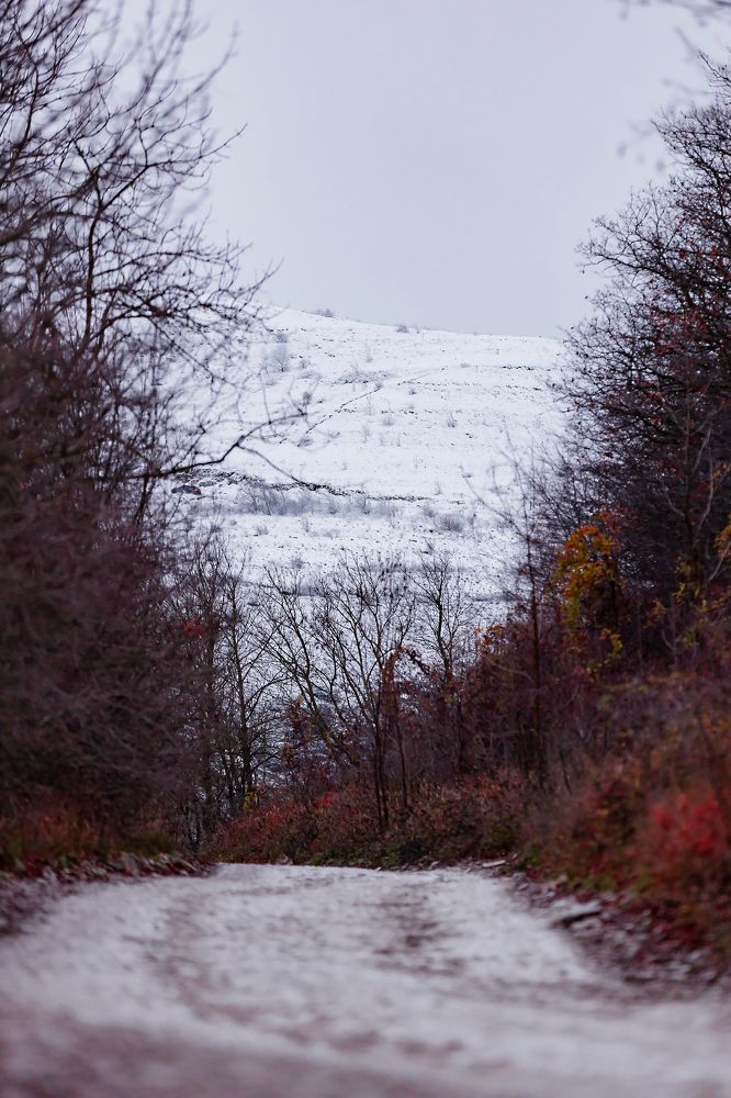 Photograph by Ольга Богданова