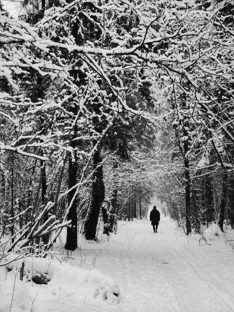 Photograph by Тимофей Смирнов