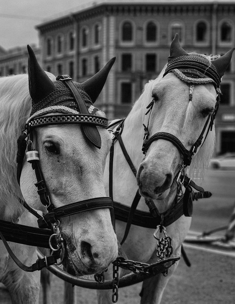 Photograph by Inna Iudina