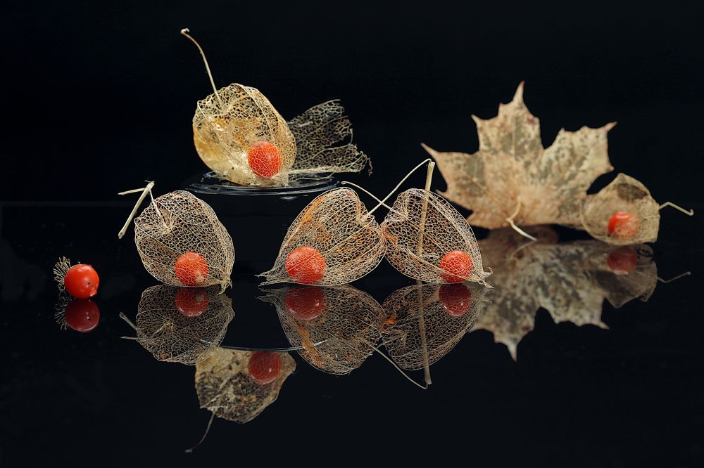 Photograph by Шруб (Беляева) Татьяна